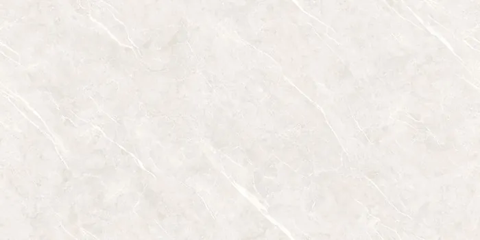 DG_DION BIANCO Design
