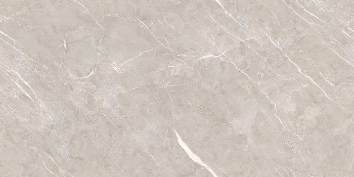 DG_DION GREY Design