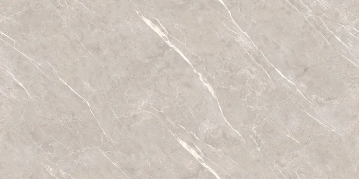 DG_DION GREY Design