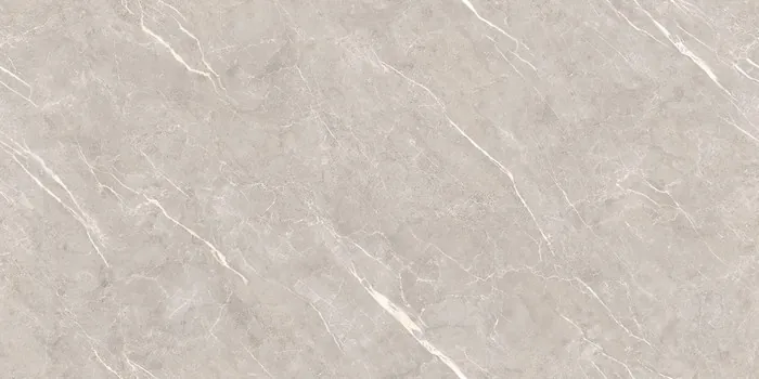 DG_DION GREY Design