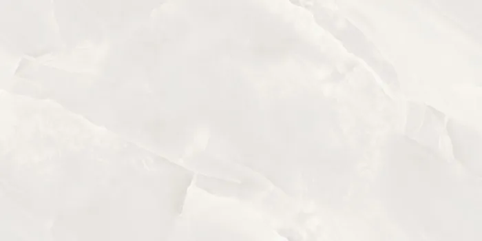 DG_FENIX WHITE Design