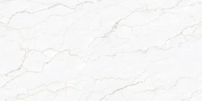 DG_ROLEX BIANCO Design