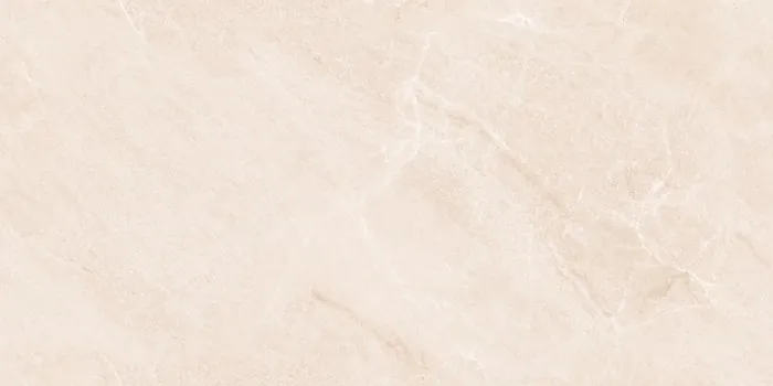 DG_TWIST CAMEL Design