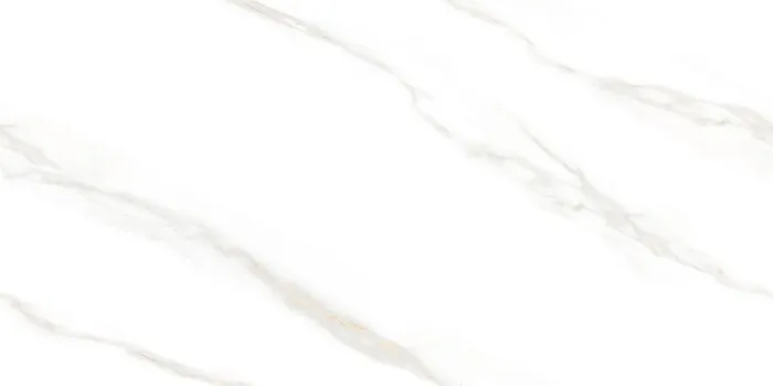 DOREX WHITE Design