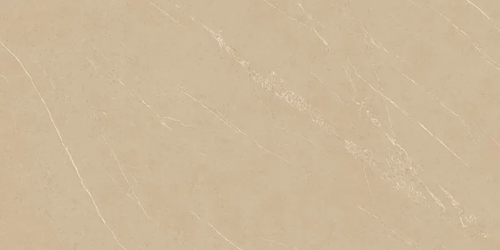 PLATINUM BEIGE Design