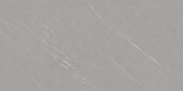PLATINUM GREY Design