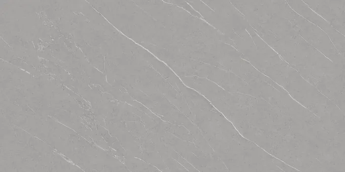 PLATINUM GREY Design