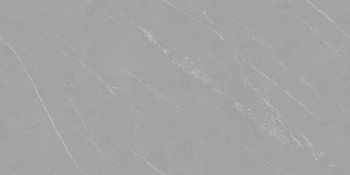 PLATINUM GREY Design