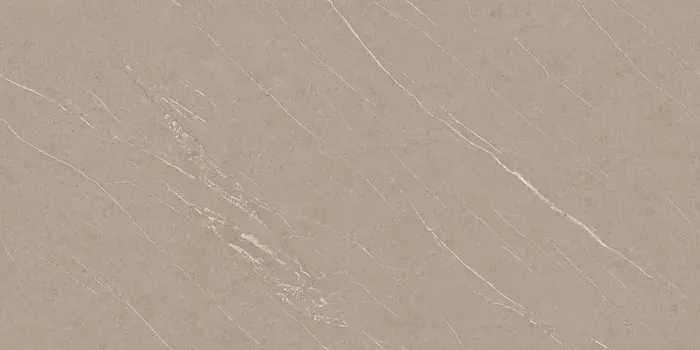 PLATINUM TAUPE Design