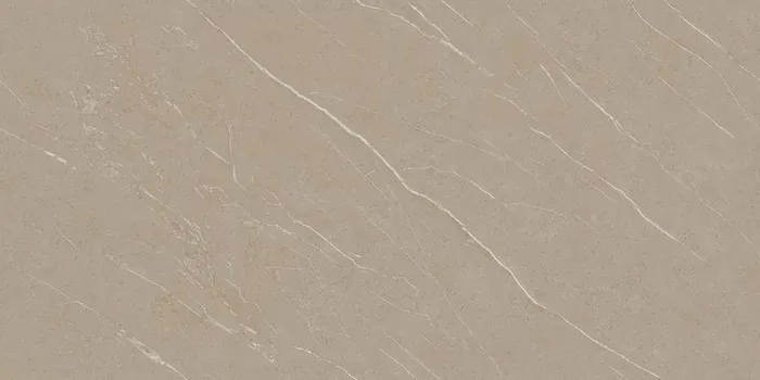 PLATINUM TAUPE Design