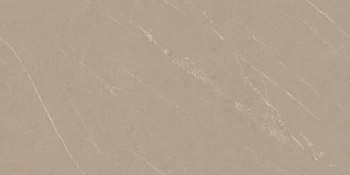PLATINUM TAUPE Design