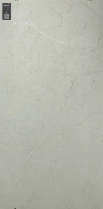ALGARIA OYSTER In a room