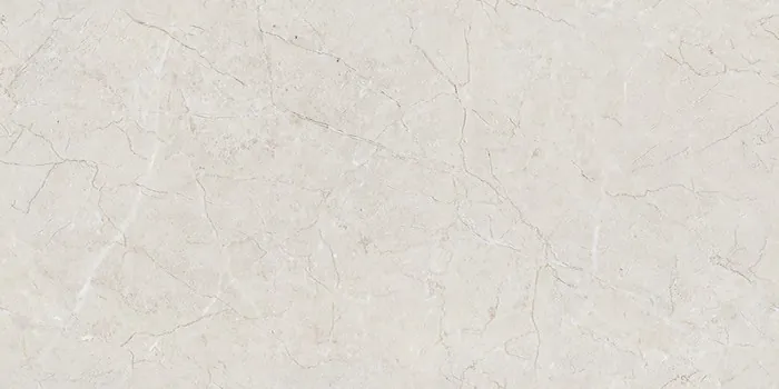 ALGARIA OYSTER Design
