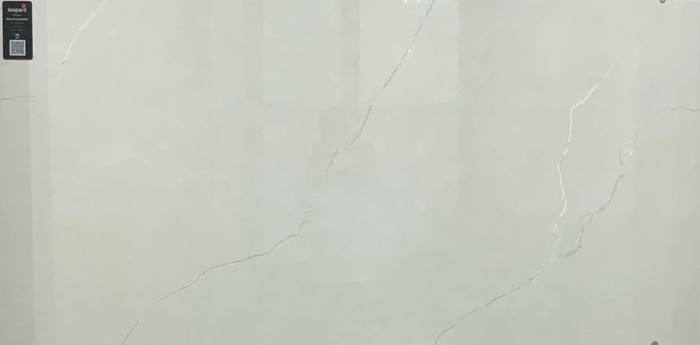 REGATO BIANCO In a room