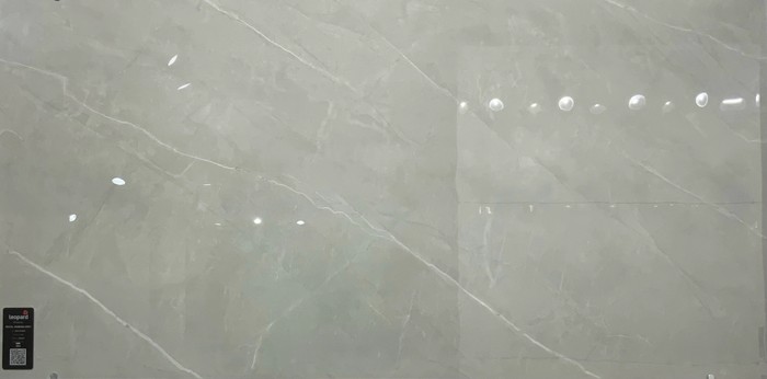 ROYAL ARMANI GREY In a room