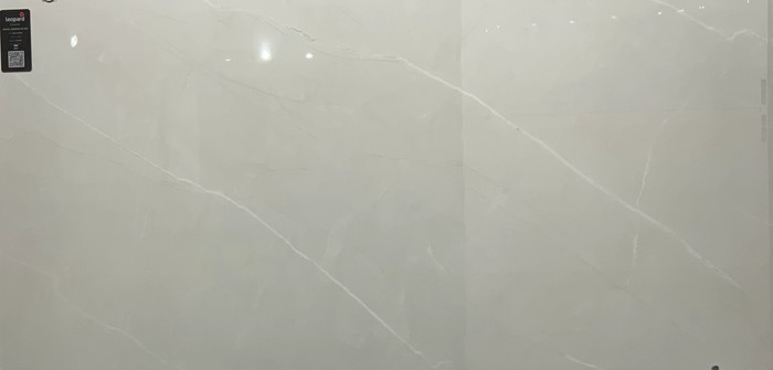 ROYAL ARMANI SILVER In a room