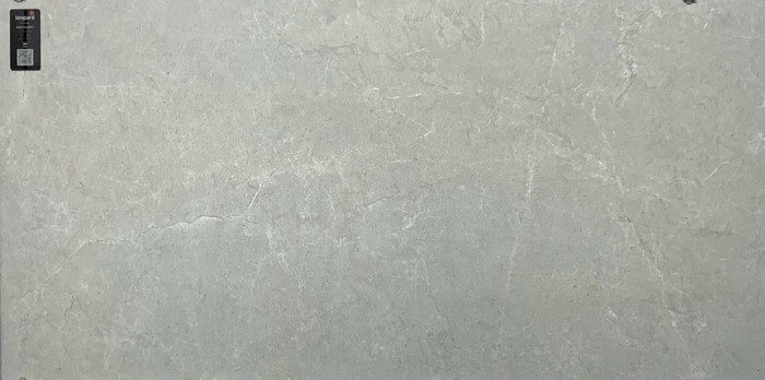 ARISTO GREY In a room