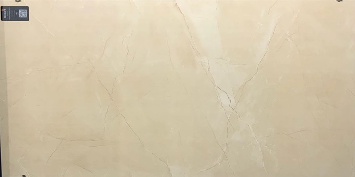 ITALIAN ARMANI BEIGE In a room